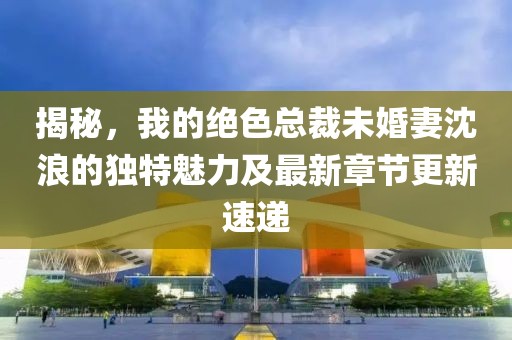 揭秘，我的绝色总裁未婚妻沈浪的独特魅力及最新章节更新速递