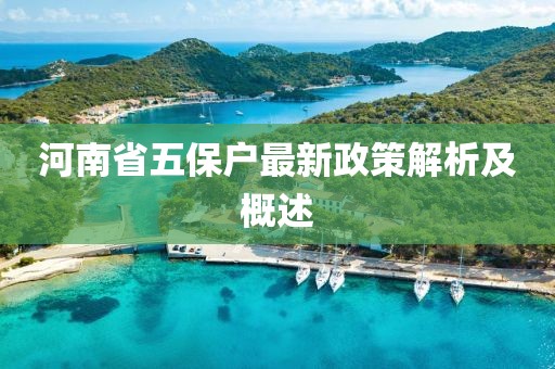 河南省五保户最新政策解析及概述