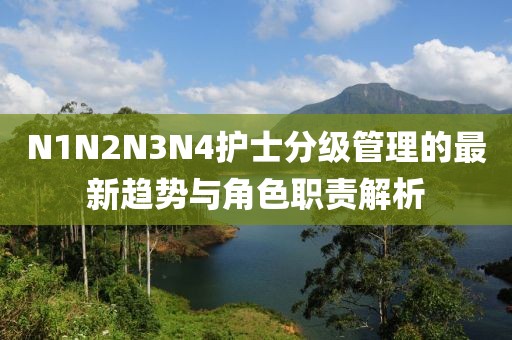 N1N2N3N4护士分级管理的最新趋势与角色职责解析