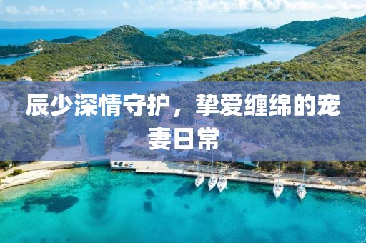 辰少深情守护，挚爱缠绵的宠妻日常