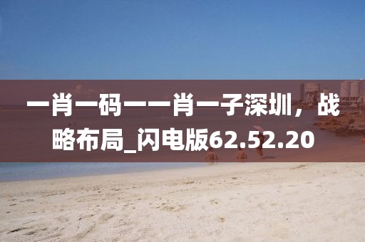 一肖一码一一肖一子深圳，战略布局_闪电版62.52.20