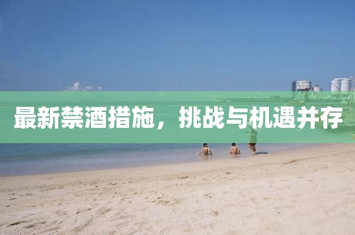 最新禁酒措施，挑战与机遇并存