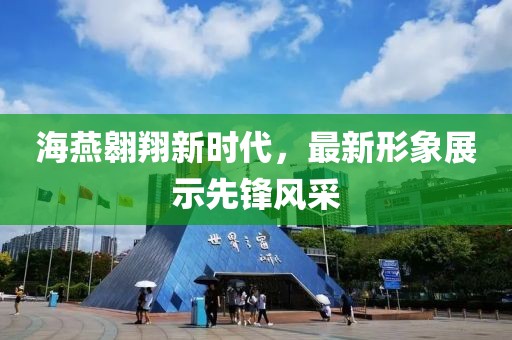 海燕翱翔新时代，最新形象展示先锋风采