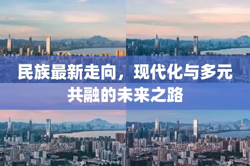 民族最新走向，现代化与多元共融的未来之路