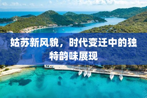 姑苏新风貌，时代变迁中的独特韵味展现