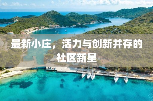 最新小庄，活力与创新并存的社区新星