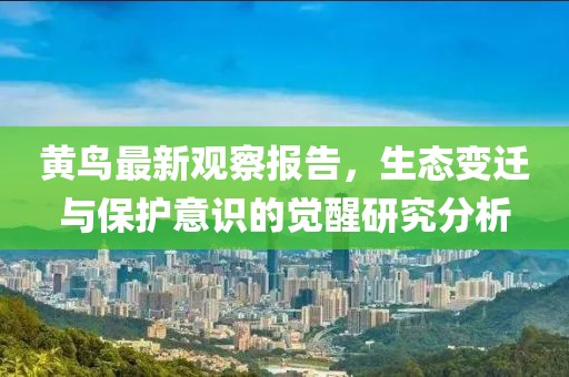 黄鸟最新观察报告，生态变迁与保护意识的觉醒研究分析