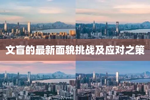 文盲的最新面貌挑战及应对之策