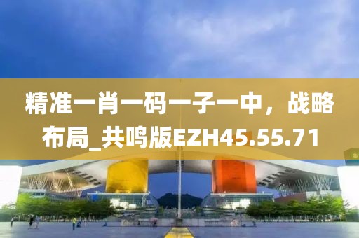 精准一肖一码一子一中，战略布局_共鸣版EZH45.55.71