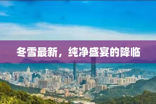 冬雪最新，纯净盛宴的降临