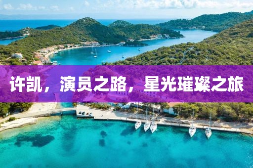 许凯，演员之路，星光璀璨之旅