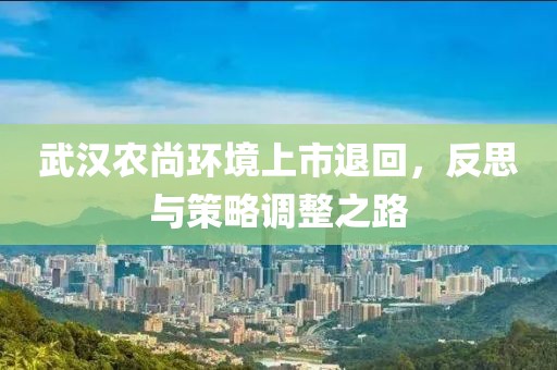 武汉农尚环境上市退回，反思与策略调整之路