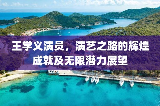 王学义演员，演艺之路的辉煌成就及无限潜力展望