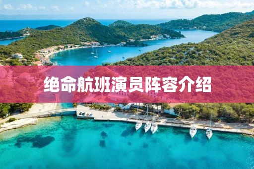 绝命航班演员阵容介绍