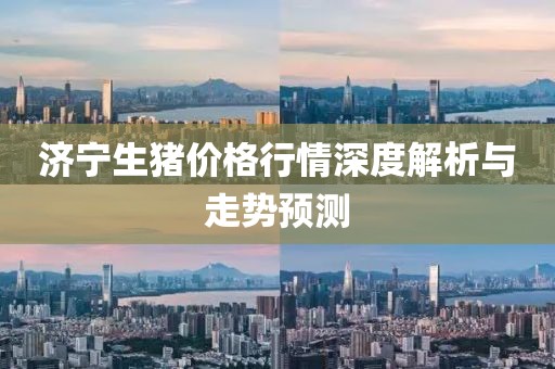 济宁生猪价格行情深度解析与走势预测