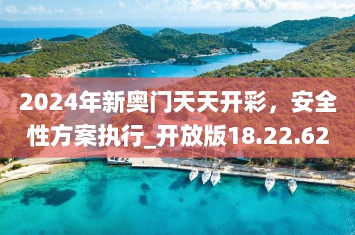 2024年新奥门天天开彩，安全性方案执行_开放版18.22.62