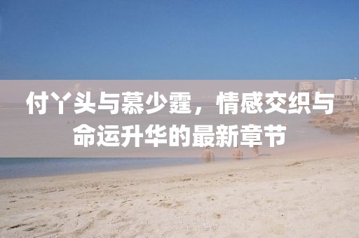 付丫头与慕少霆，情感交织与命运升华的最新章节