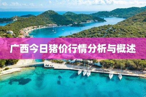 广西今日猪价行情分析与概述