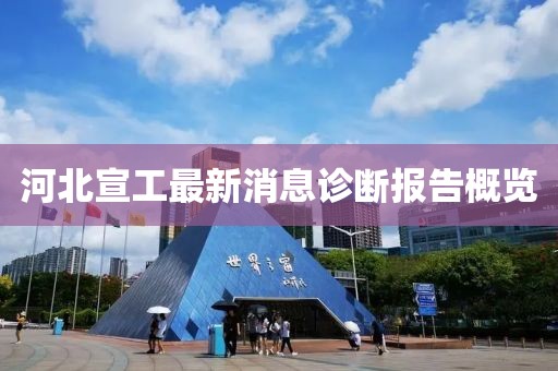 河北宣工最新消息诊断报告概览
