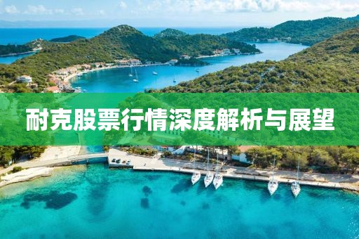 耐克股票行情深度解析与展望