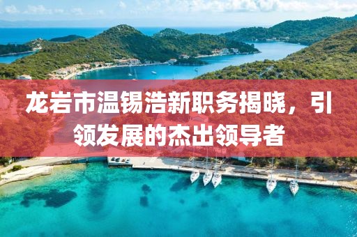 龙岩市温锡浩新职务揭晓，引领发展的杰出领导者