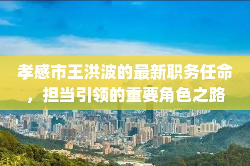 孝感市王洪波的最新职务任命，担当引领的重要角色之路