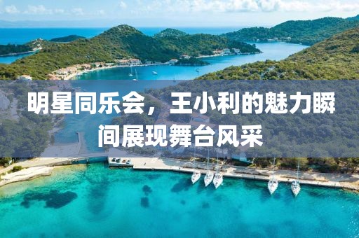 明星同乐会，王小利的魅力瞬间展现舞台风采