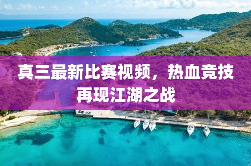 真三最新比赛视频，热血竞技再现江湖之战