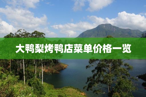 大鸭梨烤鸭店菜单价格一览