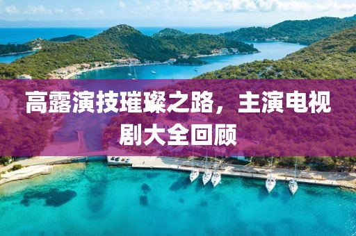 高露演技璀璨之路，主演电视剧大全回顾