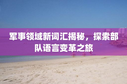 军事领域新词汇揭秘，探索部队语言变革之旅