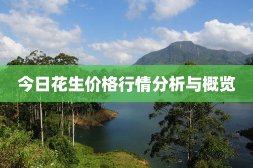 今日花生价格行情分析与概览