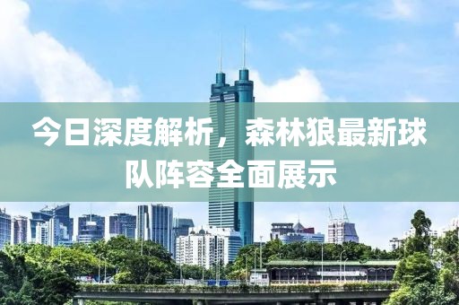 今日深度解析，森林狼最新球队阵容全面展示