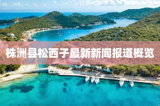株洲县松西子最新新闻报道概览