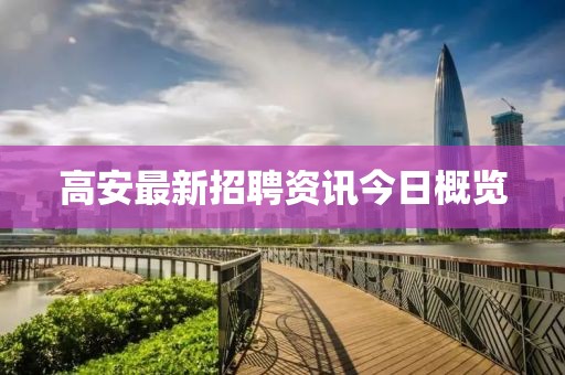 高安最新招聘资讯今日概览
