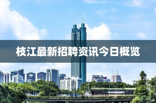 枝江最新招聘资讯今日概览