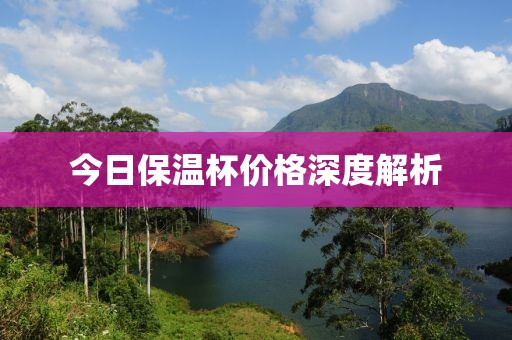 今日保温杯价格深度解析