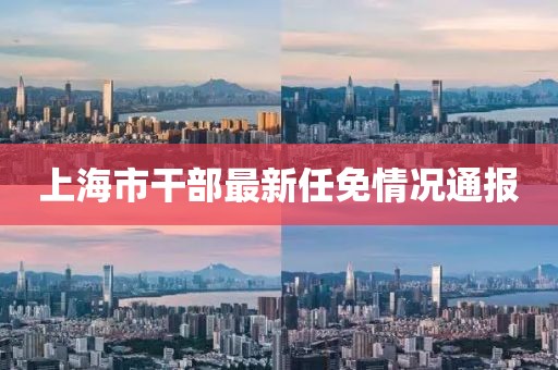 上海市干部最新任免情况通报