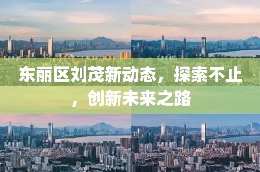 东丽区刘茂新动态，探索不止，创新未来之路