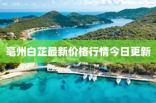 亳州白芷最新价格行情今日更新