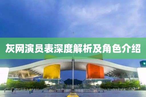 灰网演员表深度解析及角色介绍