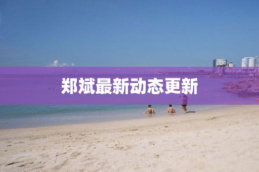 郑斌最新动态更新