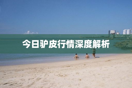 今日驴皮行情深度解析
