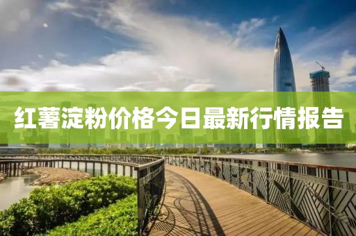 红薯淀粉价格今日最新行情报告