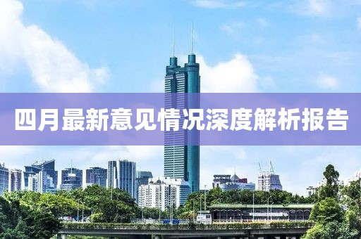 四月最新意见情况深度解析报告