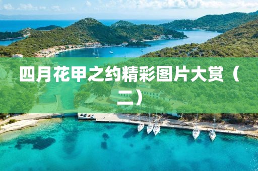 四月花甲之约精彩图片大赏（二）