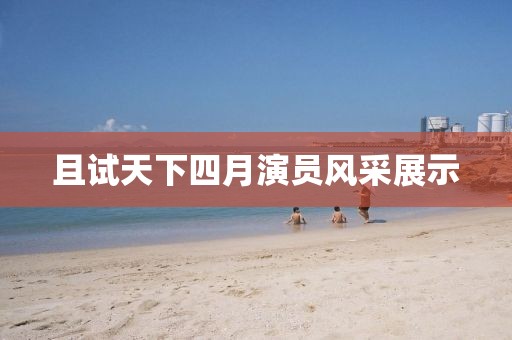 且试天下四月演员风采展示