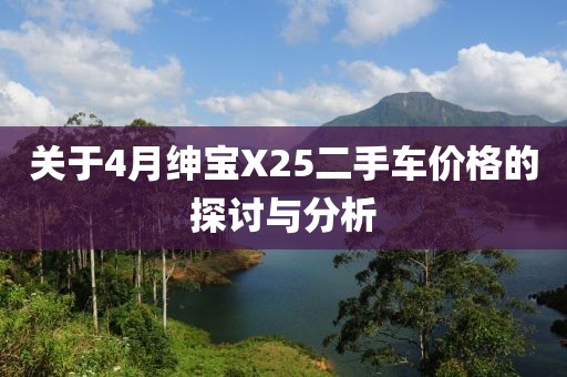 关于4月绅宝X25二手车价格的探讨与分析