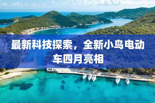 最新科技探索，全新小鸟电动车四月亮相