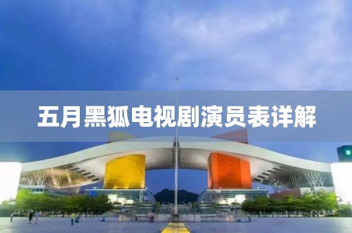 五月黑狐电视剧演员表详解